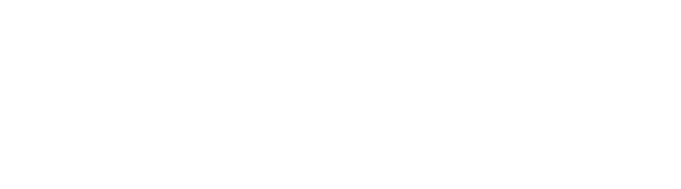 SOFIT Logo